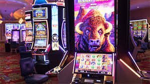 767 bet